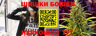 молекула духа Камышлов