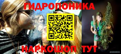 молекула духа Камышлов