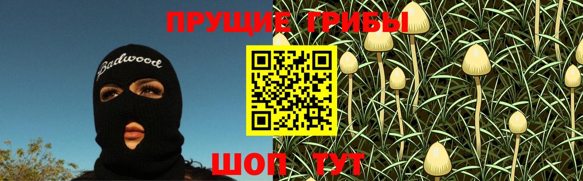 Галлюциногенные грибы Cubensis Краснодар